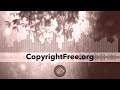 Copyright Free Music Jupiters Smile The 126ers 