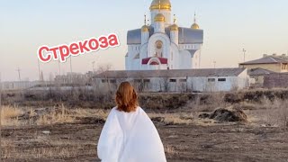 Стрекоза, клип, конкурсная работа фестиваль детского кино.