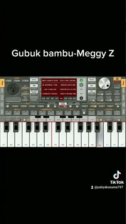 ORG 2020- Gubuk bambu#music #org2022 #viral #meggyz #gubukbambu #dangdut  #subscribe #bengkulu