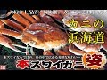 カニの浜海道の口コミは？タラバガ・ズワイガニ・花咲ガニが食べたいならココ