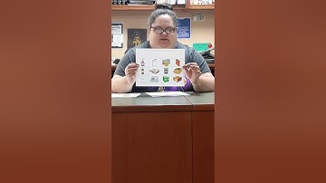 Summer Reading Program 2020 Readers Week 5