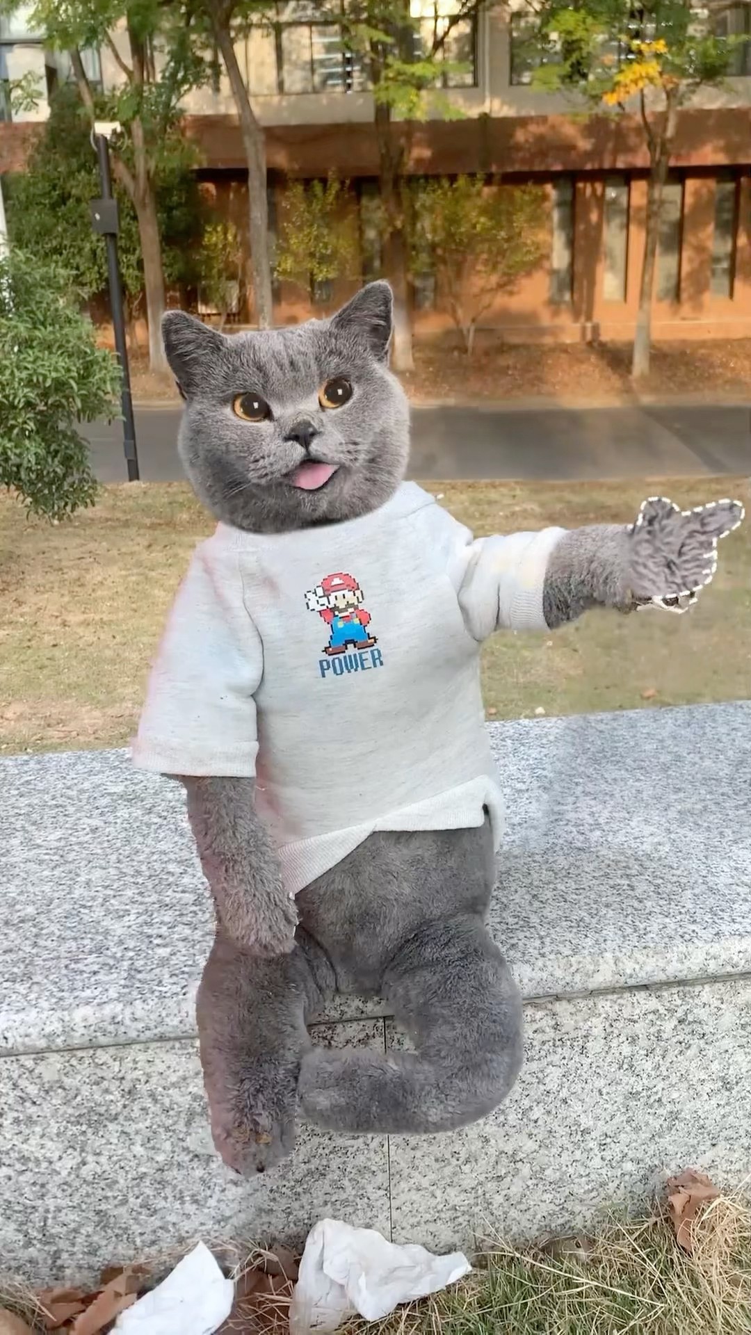 Don't Throw It!✋ It's A Surprise Snack For The Squirrel!?️? #catvideos #catmemes #trending