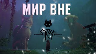 МИР ВНЕ, ПОПАЛИ В КОШАЧЬЕ ПРИКЛЮЧЕНИЕ!  STRAY  ( смешные моменты , угар )