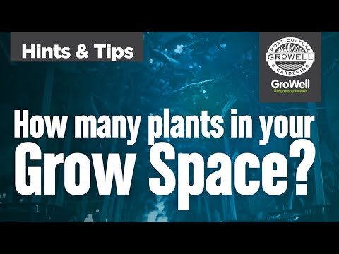 How many plants in your grow tent / room? | Hints & Tips