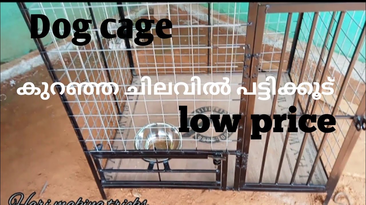How to make Dog cage kerala പട്ടിക്കൂട് ഉണ്ടാക്കിനോക്കിയാലോ YouTube