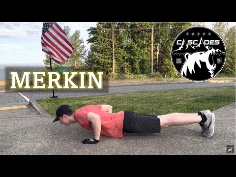 Merkin (push-up)
