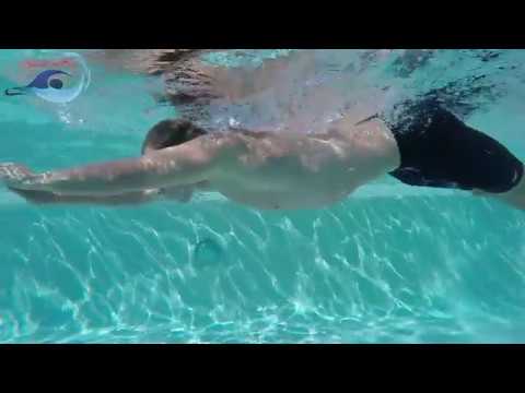 Video: How To Learn To Swim Butterfly