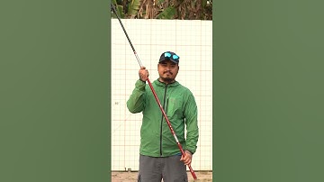 Handing Shark gãy với tiếng nổ không tưởng - Phần 3 | Thẩm Câu #shorts