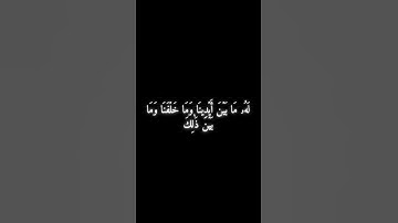 سورة مريم 63 - 65 - ياسر الدوسري .