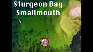 HUGE SCHOOL OF SMALLMOUTH! Sturgeon Bay Day 1 MLF Bass Pro Tour