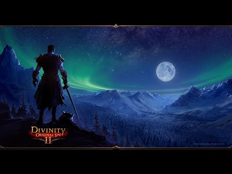 Идем в Дрифтвуд #26 \ Divinity Original Sin 2