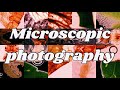 Microscopic photography | Falmouth University | MNHP