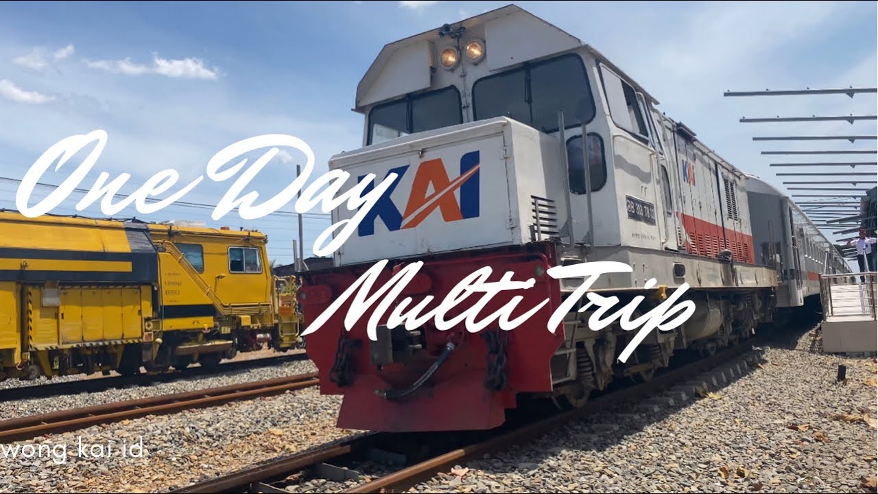 [VLOG] МУЛЬТИ ОДНОДНЕВНАЯ ПОЕЗДКА |  ПОЛЕВЫЙ ПОЕЗД БИНДЖАЙ СЕГОДНЯ!