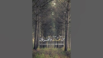 القران الكريم راحة نفسية ماشاءالله🎧🙂❤🔥اللهم بلغنا شهر رمضان