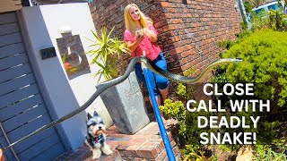 WOMAN’S CLOSE CALL WITH DEADLY SNAKE!