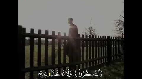 قران كريم الشيخ نايف الفيصل - حالات واتس اب قران