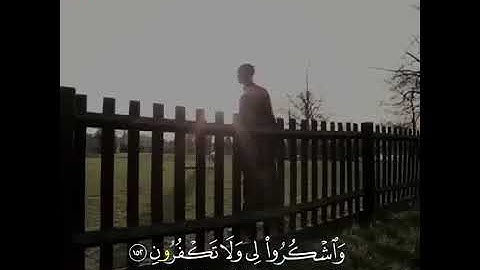 قران كريم الشيخ نايف الفيصل - حالات واتس اب قران