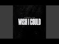 Wish I Could mp3