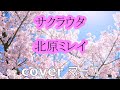 サクラウタ/北原ミレイ cover マーコ