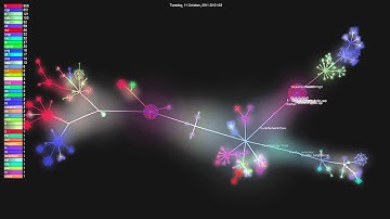 Gource: IV:MP Repository (Revision 1 to 77)