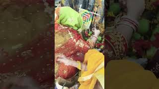 Shiv ji bhajan #YouTube #VAT Savitri Puja #Dolly Mishra #shorts#bhajan  viral
