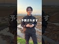 最悪のシナリオが動き始めています。6日19時の発表をお待ちください🌾 #shorts