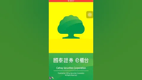 【國泰證券】  樹精靈 APP 簡易使用教學 (超新手股票入門) - 天天要聞