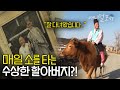 20년간 매일 소를 타고 부모님께 찾아가는 할아버지?! 2대째 이어온 시묘살이 | KBS 생활의 발견 190401 방송