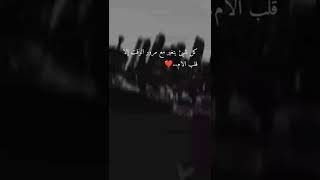 عبارة اليوم||اجمل عبارات عن الأم 🤍❤️😍