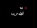 انتي بسكوتايه مقرمشه