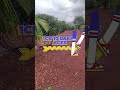 @mangogardenforsale