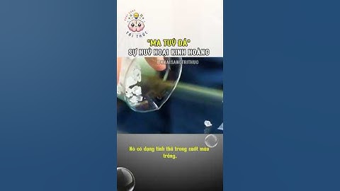 Sự Hủy Hoại Kinh Hoàng Của Ma Túy Đá