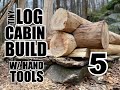 Building a Log Cabin w/ Hand Tools - Ep5 - ACTUALLY STARTING TO LOOK LIKE A CABIN!
