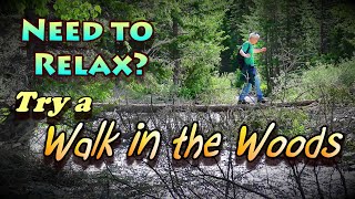 Need to Relax? Try A Walk in the Woods!