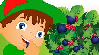 Here We Go Round The Mulberry Bush - Song For Kids