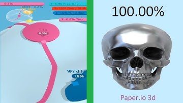 Paper.io 3d Map Control: 100.00% World Record
