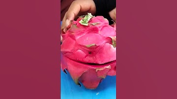 #سورة_فصلت #قران_بصوت_جميل #محمد_صديق_المنشاوي
