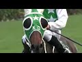 Heroes Tonight ||Horse Racing Music Video||