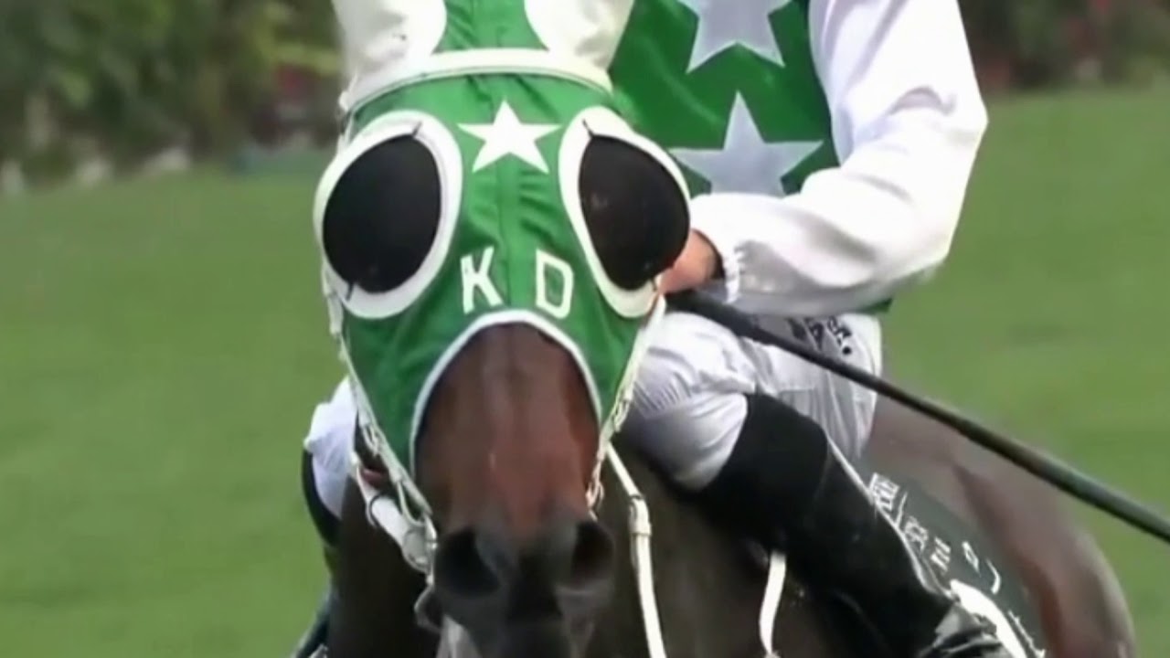 Heroes Tonight ||Horse Racing Music Video||