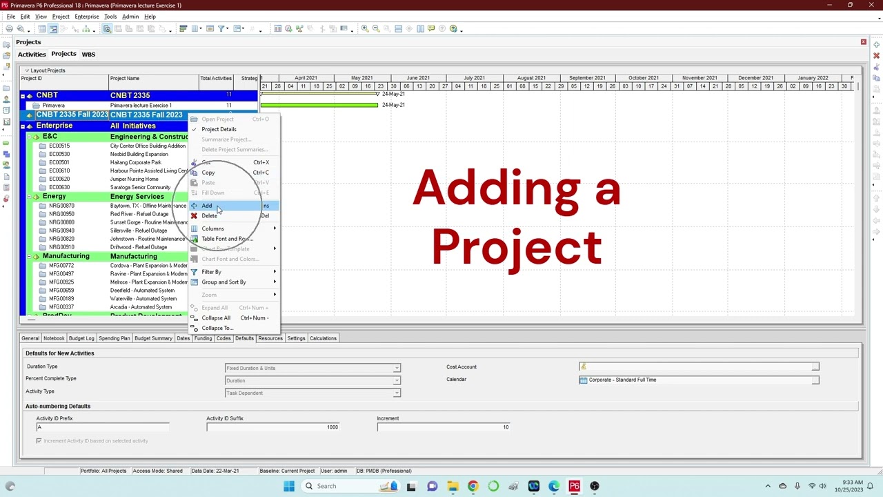 Primavera P6   INTRODUCTION