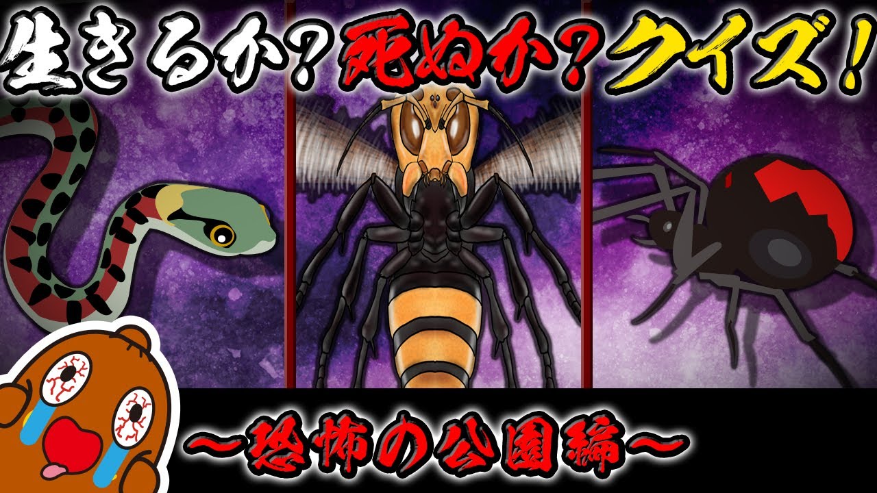 Life or Death Quiz #02 ~The Scary Park~
