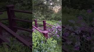 IMG 8267