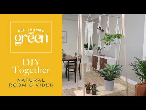 DIY Together - Living Room Divider - Costa Farms