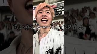 【vlog】ZOZOマリンのまたまたライトスタンド来ちゃった