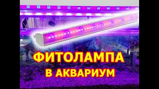 Фитолампа в аквариум