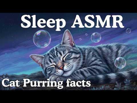 The Most Relaxing Facts About Why Cats Purr