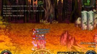 DFO Mage Hacking