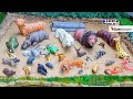 Zoo & Farm Animals in Muddy Fun Adventure | Learn Animal Sounds & Names LIVE