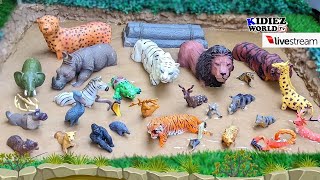 Zoo & Farm Animals in Muddy Fun Adventure | Learn Animal Sounds & Names LIVE