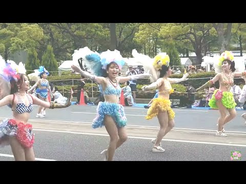 神戸まつり2023 SAMBA PARADE　神戸サンバチーム